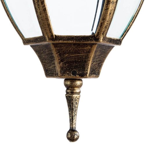 Уличный подвесной светильник Arte Lamp Pegasus (Пегасус) A3151SO-1BN - фото 5