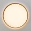 Светильник накладной Citilux Etalon (Еталон) CL750320R