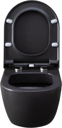 Чаша унитаза подвесная Allen Brau Priority 4.31001.AN цвет черный без сиденья безободковая каскадный смыв