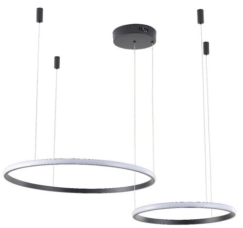Люстра подвесная Zortes Ringolight (Ринголигхт) ZRS.33321.63F - фото 2