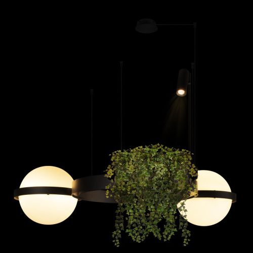 Светильник подвесной Loft It Jardin 10121/2 - фото 4