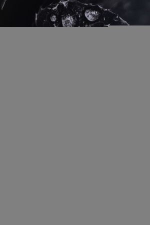 Раковина керамическая Allen Brau Fantasy 4.11021.31 50х40 накладная цвет черный без отверстий под смеситель