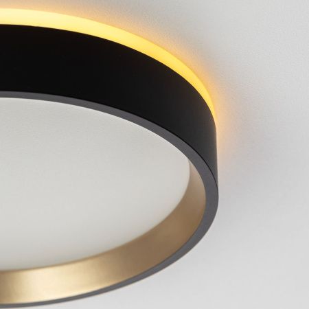 Светильник настенно-потолочный Citilux Etalon (Еталон) CL750181