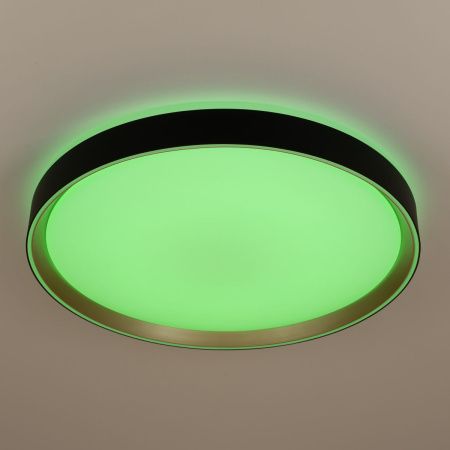 Светильник потолочный музыкальный Citilux Boss (Босс) CL751451G