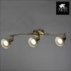 Спот Arte Lamp Focus (Фоцус) A5219PL-3AB