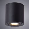 Светильник накладной Arte Lamp Galopin (Галопин) A1460PL-1BK