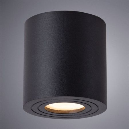 Светильник накладной Arte Lamp Galopin (Галопин) A1460PL-1BK