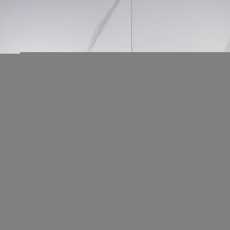 Смеситель для кухни Rose R213L на мойку сатин