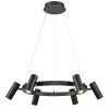 Светильник подвесной Vele Luce Neo (Нео) VL10012P06