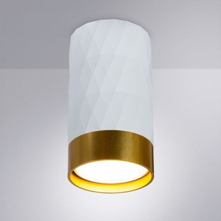 Светильник накладной Arte Lamp Fang (Фанг) A5558PL-1WH