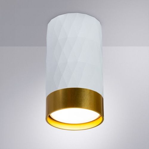 Светильник накладной Arte Lamp Fang (Фанг) A5558PL-1WH - фото 2