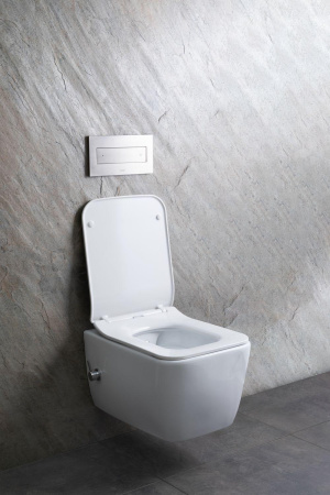 Чаша унитаза подвесная Allen Brau Liberty 4.33009.20 цвет белый без сиденья безободковая каскадный смыв