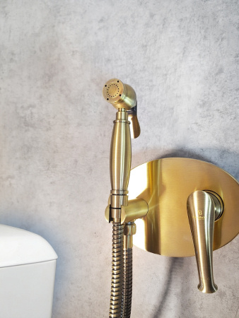 Гигиенический душ со смесителем AltroBagno Beatrice AltroBagnoBeatrice060111Br бронза