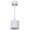 Светильник подвесной Reluce 53005-0.9-001LD GX53 WT