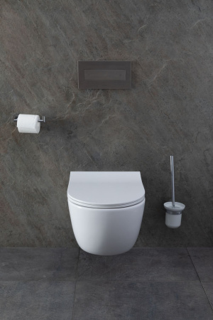 Чаша унитаза подвесная Allen Brau Priority 4.31001.20 цвет белый без сиденья безободковая каскадный смыв