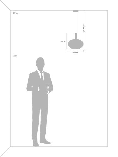 Светильник подвесной Freya Zelma Modern FR8012PL-01GN - фото 5