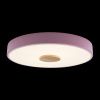 Светильник потолочный Loft It Axel 10003/24 Pink