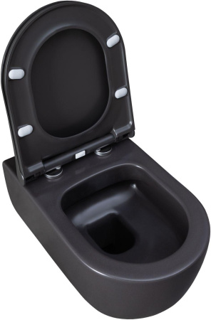 Чаша унитаза подвесная Allen Brau Priority 4.31001.AN цвет черный без сиденья безободковая каскадный смыв