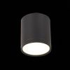 Светильник потолочный ST Luce Rene (Рене) ST113.442.05