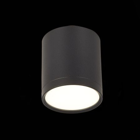 Светильник потолочный ST Luce Rene (Рене) ST113.442.05