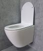 Унитаз подвесной CeramaLux TR2196 белый с сиденьем микролифт смыв торнадо