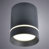 Светильник потолочный Arte Lamp Elle (Елле) A1909PL-1BK