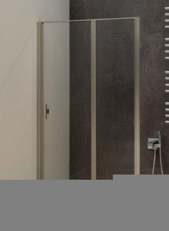 Душевая дверь Allen Brau Priority 3.31002.BA 90х200 стекло прозрачное профиль серебро