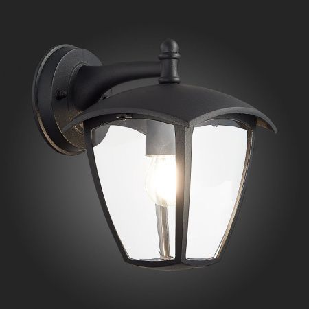 Уличный настенный светильник ST Luce Sivino (Сивино) SL081.411.01