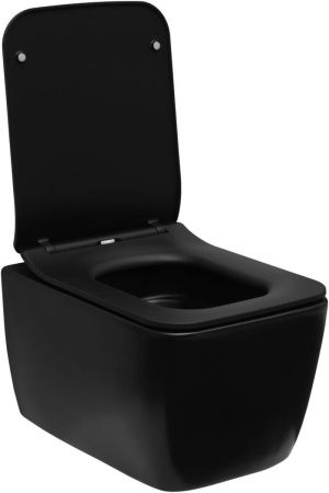 Чаша унитаза подвесная Allen Brau Liberty 4.33007.31 цвет черный без сиденья безободковая каскадный смыв