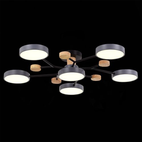 Люстра на штанге Evoluce Faema (Фаема) SLE6006-702-06 - фото 4
