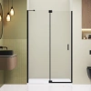 Душевая дверь RGW Hotel (Отель) 350601410-14 100х200 стекло прозрачное профиль черный