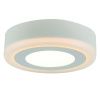 Светильник накладной Arte Lamp ANTARES (АНТАРЕС) A7806PL-2WH