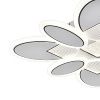 Люстра потолочная Escada Dune (Дуне) 10210/8LED