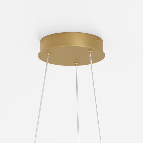 Светильник подвесной Maytoni Rim Modern MOD058PL-L22BSK - фото 5