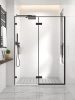 Душевая дверь Veconi Premium Alassio AL-150-00-B-C4 150х200 стекло прозрачное профиль черный