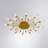 Люстра потолочная Arte Lamp Maple (Мапле) A1276PL-24GO