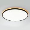 Светильник потолочный Citilux Norma (Норма) CL749501