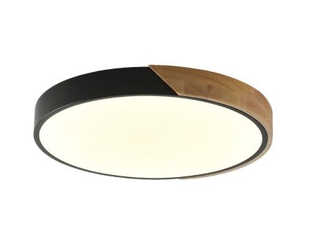 Светильник потолочный Zortes Alberro (Алберро) ZRS.01237.90
