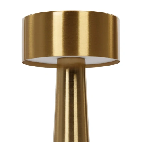 Светильник настольный Cosmo Stalk CT0013 - фото 3