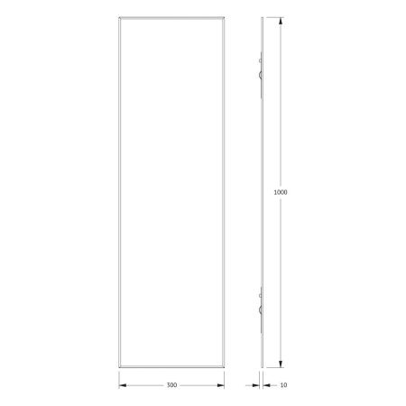 Зеркало Evoform Standard BY 0229 30х100 подвесное