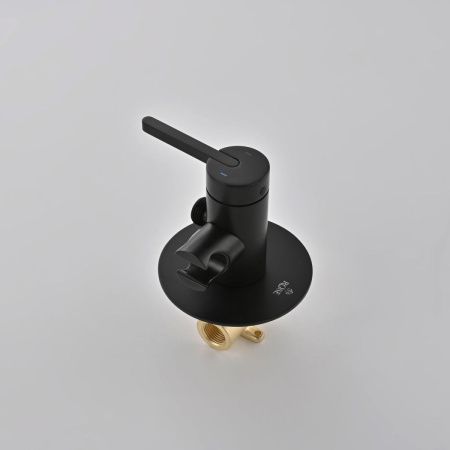Гигиенический душ со смесителем Rose R235H черный