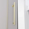 Душевая дверь Veconi Premium Alassio AL-150-00-G-C4 150х200 стекло прозрачное профиль золото