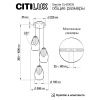 Светильник подвесной Citilux Garuda (Гаруда) CL420033