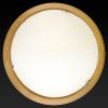 Светильник накладной Toplight Jane (Джане) TL9640Y-00OA