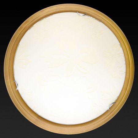 Светильник накладной Toplight Jane (Джане) TL9640Y-00OA
