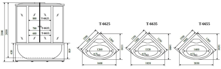 Душевой бокс Timo Standart T-6655SF 150х150 стекло матовое профиль хром