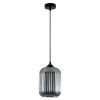 Светильник подвесной Arte Lamp ARWEN (АРВЕН) A1902SP-1BK