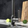 Смеситель для кухни Tokito KUDO TOK-KUD-1013 на мойку черный