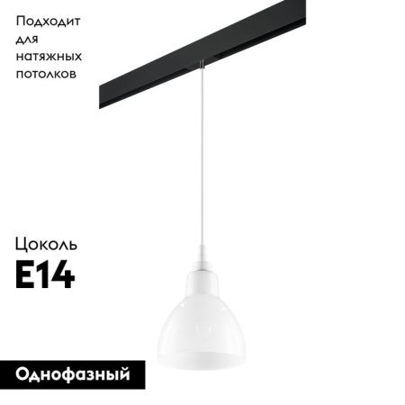 Трековый светильник Lightstar Loft (Лофт) PRO865016