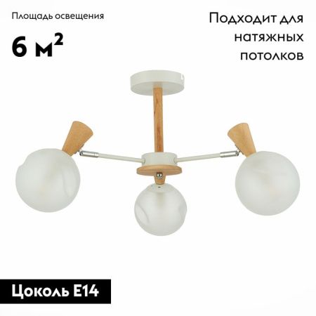 Люстра потолочная Evoluce CATANIA (ЦАТАНИА) SLE220702-03